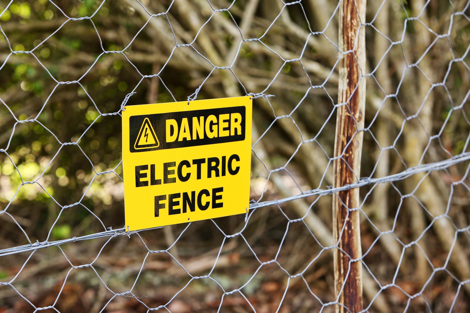 electric fence installed in a building